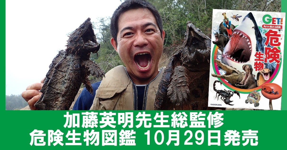 生物学者 加藤英明先生総監修の 危険生物図鑑 はここがすごい ヨメルバ Kadokawa児童書ポータルサイト