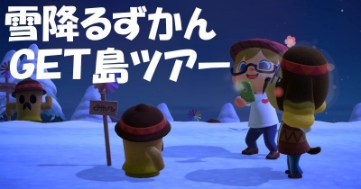 雪降るずかんGET島ナイトツアー!! 探索しやすさを重視した新しい島作り