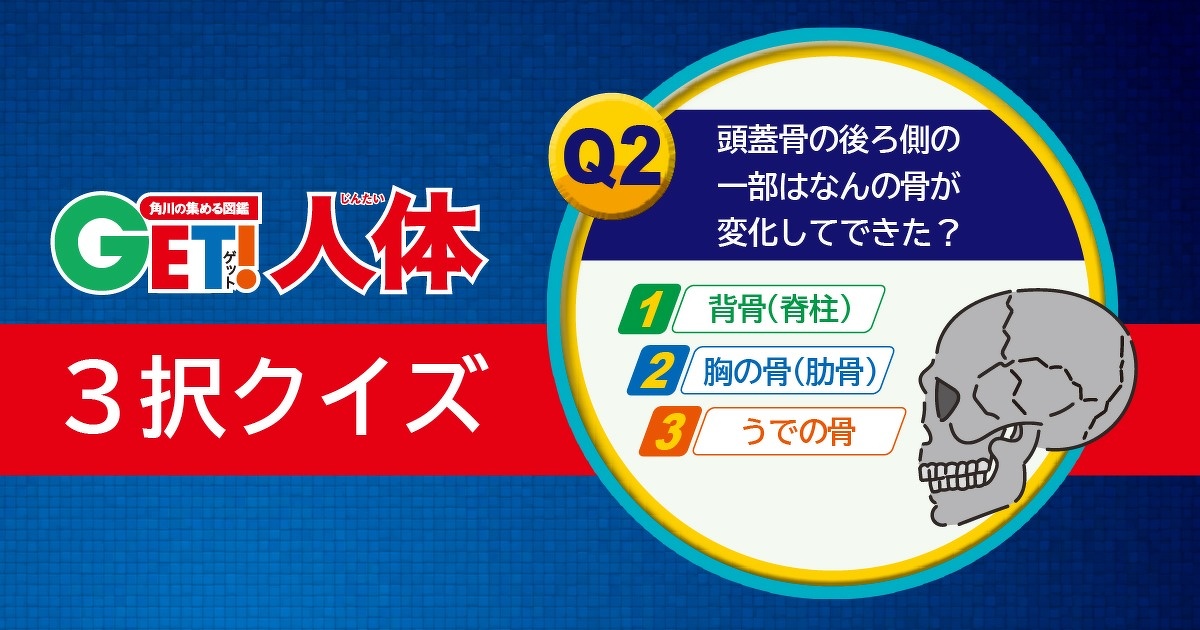 からだの謎に迫る 図鑑get 人体 ３択クイズ 第２問 ヨメルバ Kadokawa児童書ポータルサイト