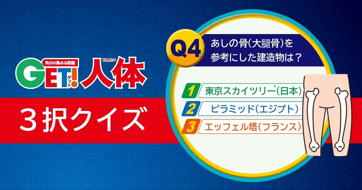 からだの謎に迫る 図鑑get 人体 ３択クイズ 第４問 ヨメルバ Kadokawa児童書ポータルサイト