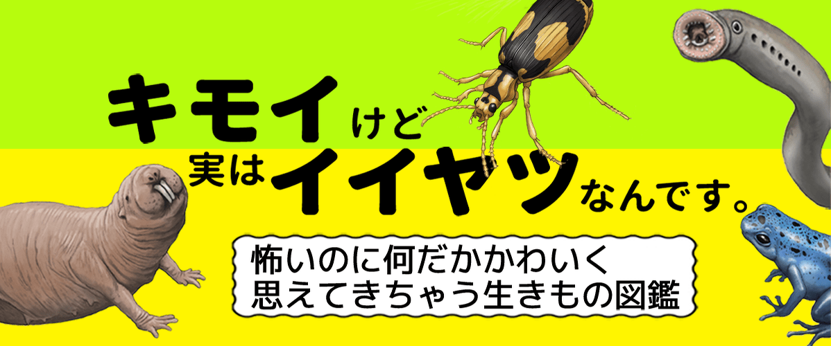 キモイけど実はイイヤツなんです ヨメルバ Kadokawa児童書ポータルサイト