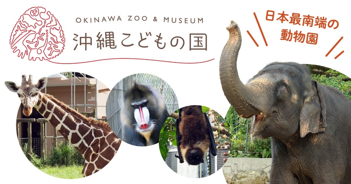 ハイサイ探偵団とコラボも！ 日本最南端の動物園「沖縄こどもの国」が