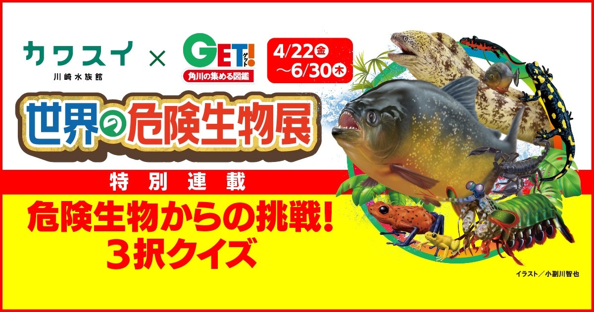 危険生物からの挑戦！ 3択クイズ 第7問 | 危険生物からの挑戦！ 3択