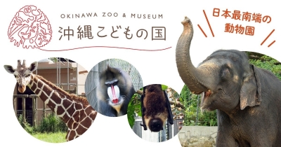 ハイサイ探偵団とコラボも！　 日本最南端の動物園「沖縄こどもの国」がすごいぞ！