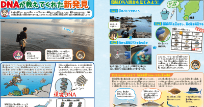 バケツ一杯の水から海の魚を探る最新技術とは?『GET!魚』総監修・宮正樹先生の環境DNA講座を特別取材!