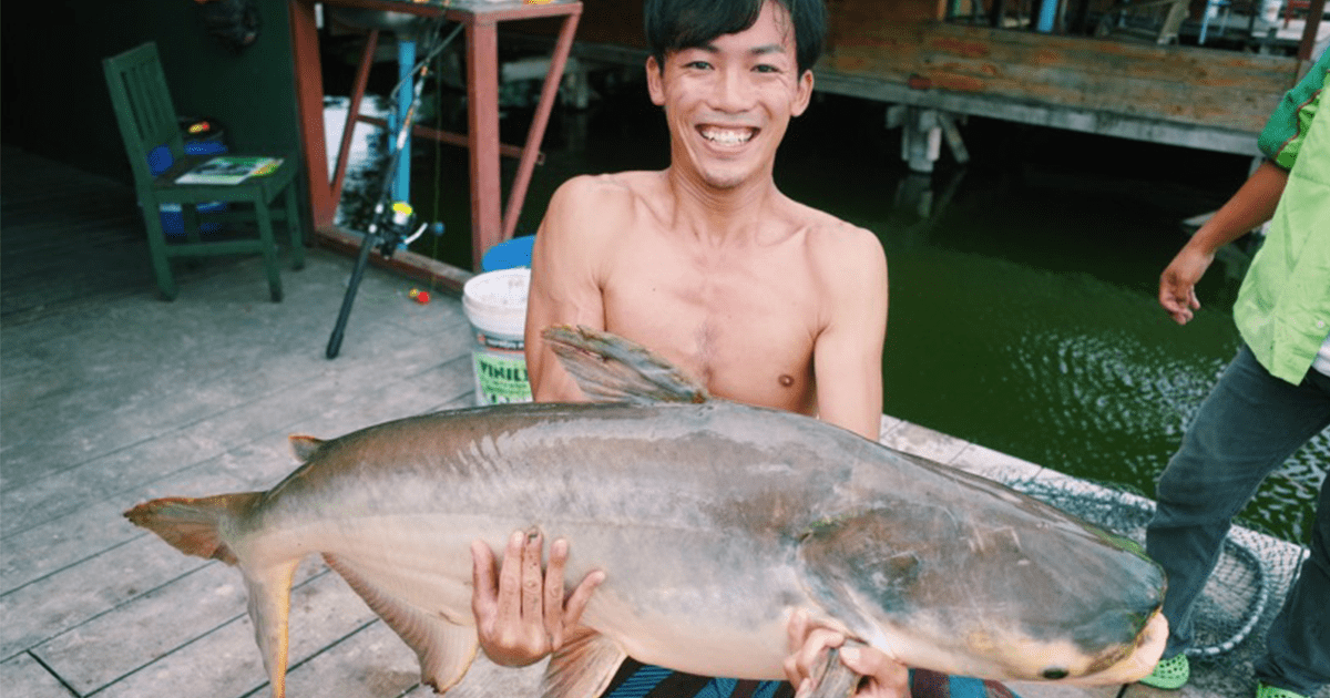 さかなのおにいさんかわちゃんさんに特別取材！！ 「クラゲに隠れて身