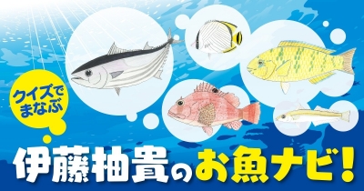 クイズでまなぶ 伊藤柚貴のお魚ナビ! 第4問 3択クイズ
