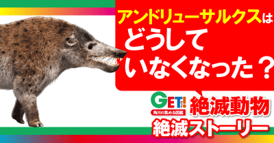 どうしていなくなった?『GET! 絶滅動物』絶滅ストーリー 第5回 アンドリューサルクス
