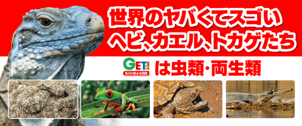 世界のヤバくてスゴいヘビ、カエル、トカゲたちイメージ