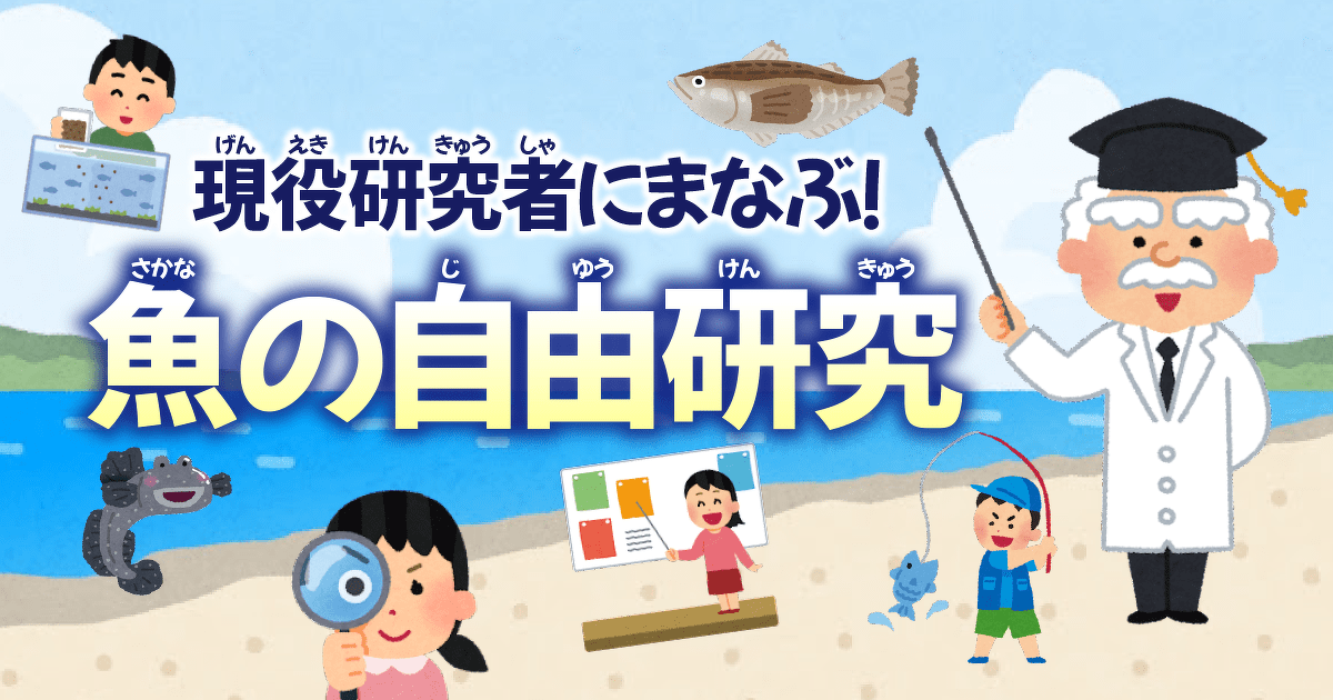 耳石(じせき)って知ってる？スーパーのお魚でいつでもできる自由研究