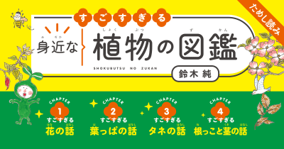 『すごすぎる身近な植物の図鑑』第4回 トウモロコシの観察