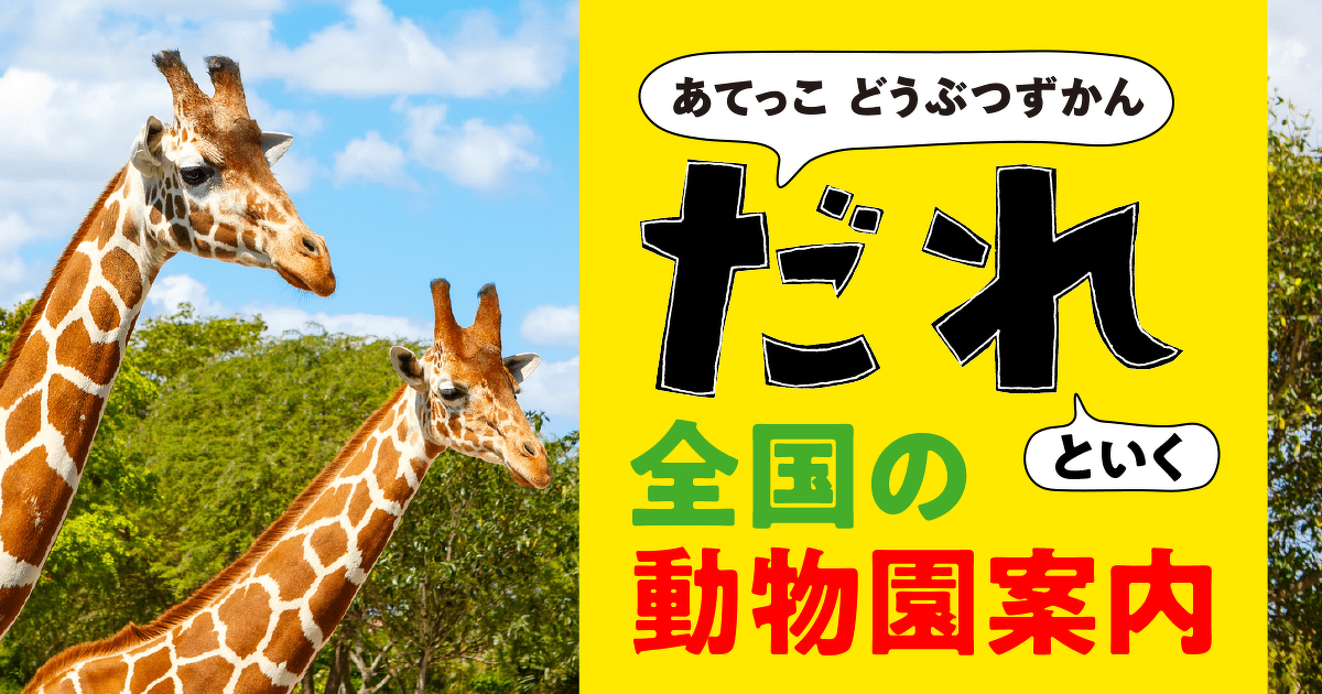 野生動物をもとめて: テレビ取材班とともに 参加型アートのワークショップを随時開催！ 野生動物が暮らす