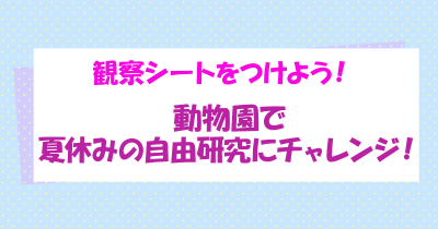 動物園で夏休みの自由研究にチャレンジしてみよう!
