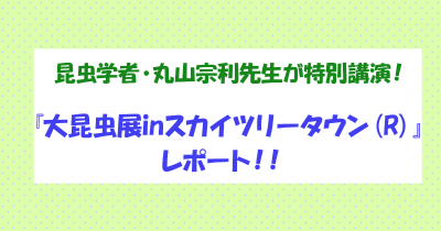『大昆虫展in東京スカイツリータウン(R)』レポート!!
