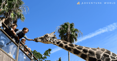 【動物にふれあえる!】子どもと行きたい全国の動物園10選
