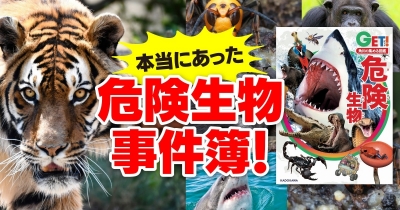 恐怖の殺人ザメ“ジャージーマンイーター”ほか「本当にあった危険生物事件簿!」第3回