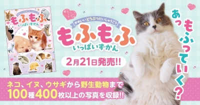 「あ、もふっていく?」 かわいい動物大集合の最高にもふれる1冊が発売! 400枚以上の写真をながめて、もふもふな気分を満喫しよう!