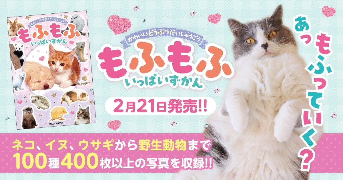 あ、もふっていく？」 かわいい動物大集合の最高にもふれる1冊が発売