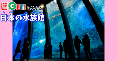 高さ8m＆水量1,500トンの大水槽でスーパーイワシイリュージョンが見たい！【神奈川県】　「角川の集める図鑑GET！とめぐる日本の水族館」第18回