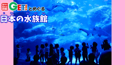 金魚1000匹の常設展示が日本最大級！！【東京都】　「角川の集める図鑑GET！とめぐる日本の水族館」第22回