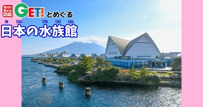 いおワールドかごしま水族館【鹿児島県】「角川の集める図鑑GET!とめぐる日本の水族館」第29回