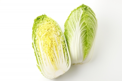 美味しいハクサイ(白菜)をお店で選ぶポイントは?【自分で野菜を育てる漫画家が考察!】