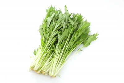 美味しいミズナ(水菜)をお店で選ぶポイントは? 【自分で野菜を育てる漫画家が考察!】