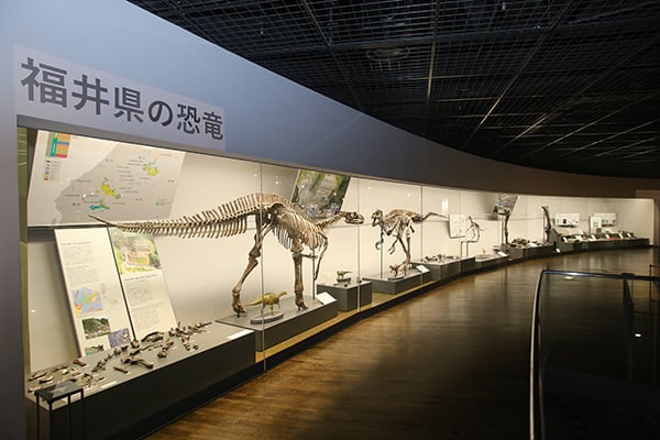子どもとおでかけ！【恐竜の全身骨格標本が見られる】博物館10選