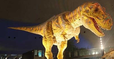 子どもとおでかけ!【恐竜の全身骨格標本が見られる】博物館10選
