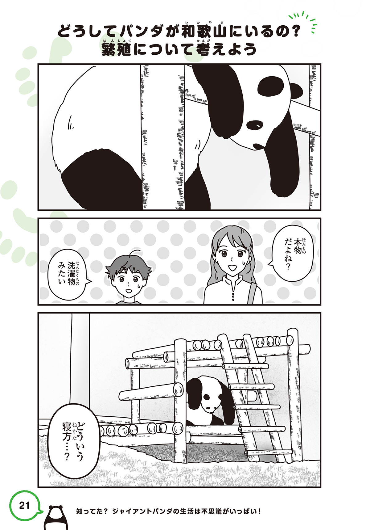 どうしてパンダが和歌山にいるの？ 繁殖について考がえよう | パンダの