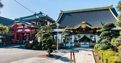 もともとは節目の年のお祝いだった!? 厄年の過ごし方【詩人白井明大 子どもに教えたい!日本の風習】