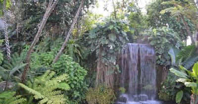 子どもと一緒に行きたい! 関東の植物園10選