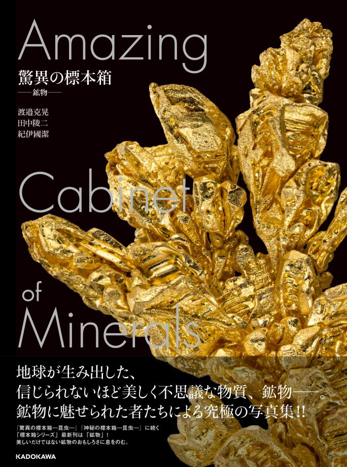 mode3_w684-書影_9784041156124_