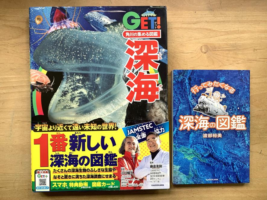 深海」をテーマに自主学習！ 『行ってみたくなる深海の図鑑』を使って