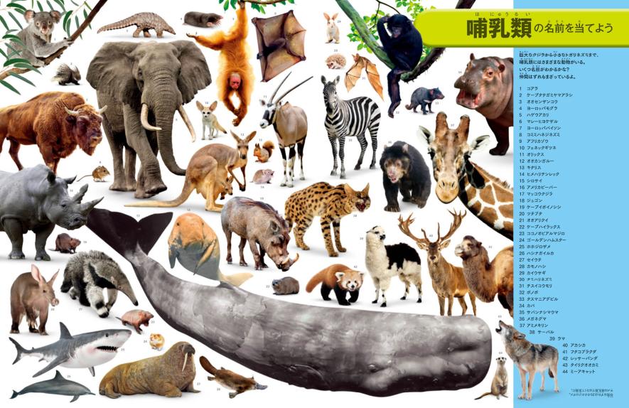 1冊で教養が身につく超豪華図鑑！ 『見るだけで世界がわかる大図鑑