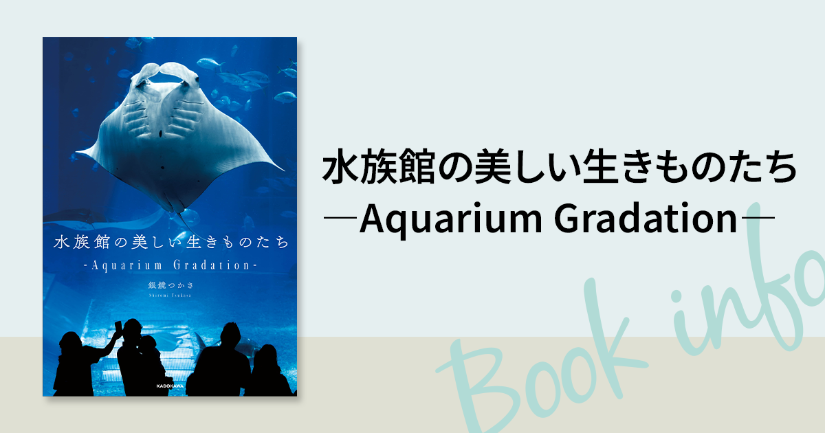 日本のすごすぎる水族館の世界！SNS話題の新進気鋭写真家・銀鏡つかさ