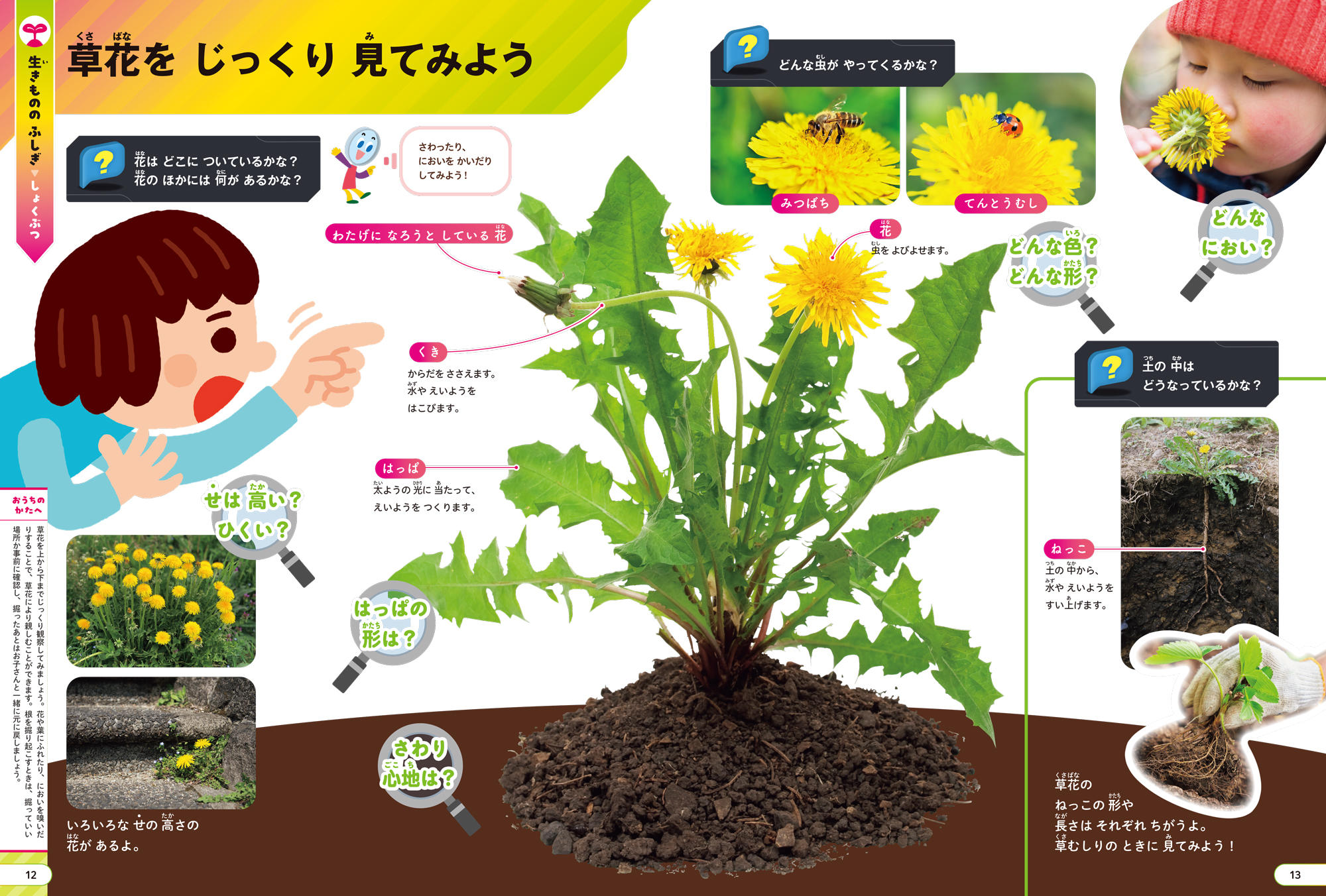 サントリーグルメ　大図鑑　1〜5巻 41bT8e82+0L.jpg_BO30,255,255,