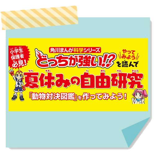 どっちが強い