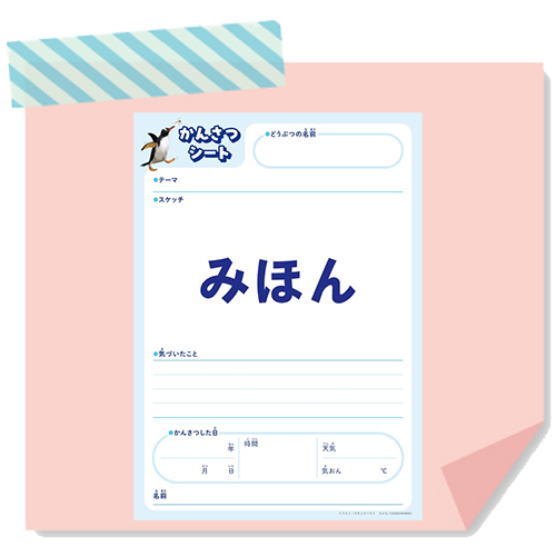 動物観察