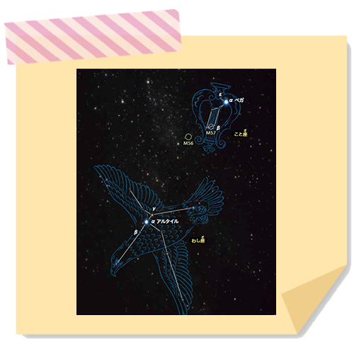 星