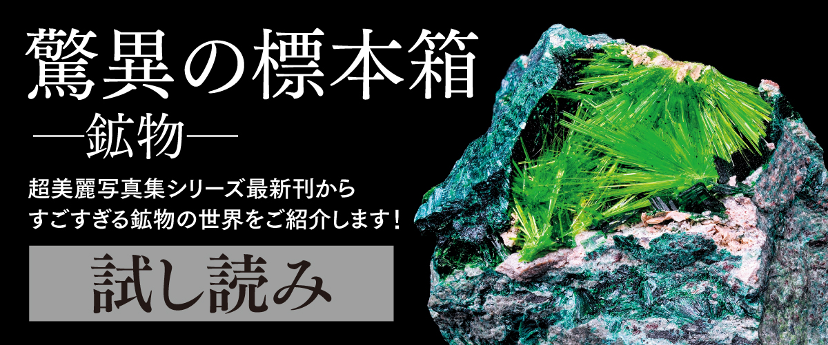 すごすぎる鉱物の世界