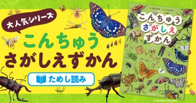 こんちゅうさがしえずかん　ためし読み