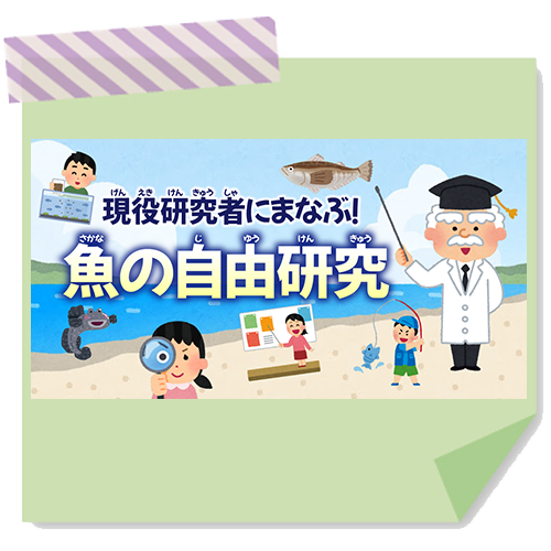 魚の自由研究
