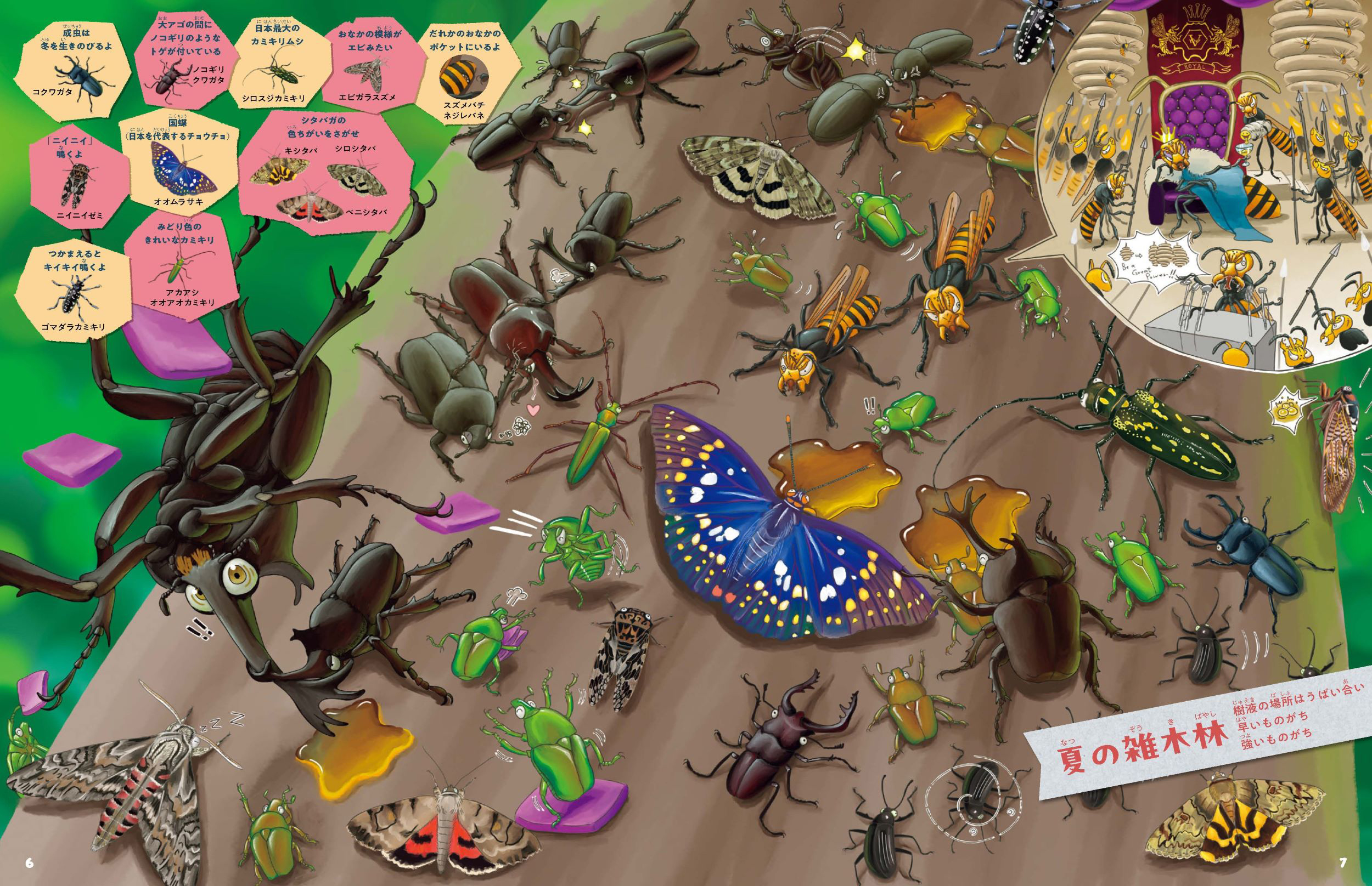 こんちゅうさがしえずかん ためし読み | お知らせ | ヨメルバ