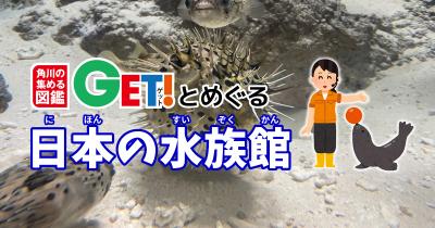 フグフグフグフグ！！ 世界一フグを展示する水族館！！下関市立しものせき水族館「海響館」【山口県】　「角川の集める図鑑GET！とめぐる日本の水族館」第12回　