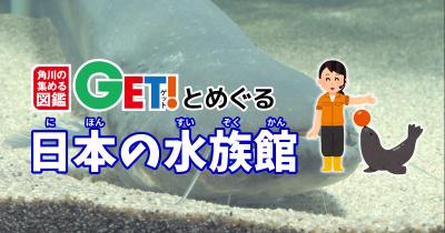 水族館顔負け！？「琵琶湖」のすべてを感じるミュージアム【滋賀県】　「角川の集める図鑑GET！とめぐる日本の水族館」第17回
