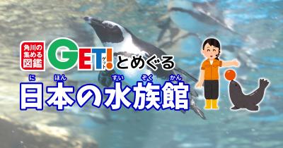 50羽以上いるペンギンたちは京都ならではの個性的な名前がおもしろい！！【京都府】　「角川の集める図鑑GET！とめぐる日本の水族館」第21回