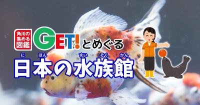 金魚1000匹の常設展示が日本最大級！！【東京都】　「角川の集める図鑑GET！とめぐる日本の水族館」第22回
