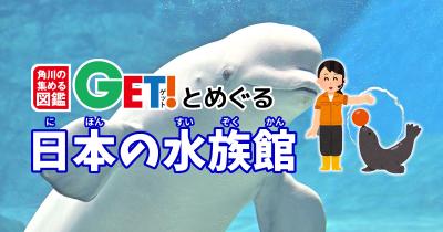 シャチやベルーガ、世界で唯一ここでしか見られないナンキョクオキアミが見られる！！【愛知県】「角川の集める図鑑GET！とめぐる日本の水族館」第24回