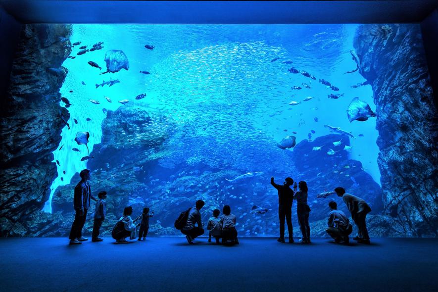 仙台うみの杜水族館【宮城県】「角川の集める図鑑GET！とめぐる日本の